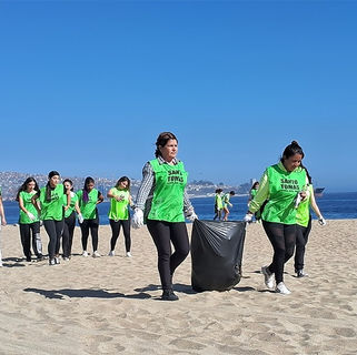 “Mechoneo Solidario”: Estudiantes limpian playa Caleta Portales