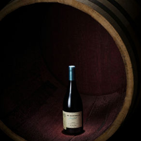 El sabor del lugar: cómo el terroir chileno potencia las cepas del mundo