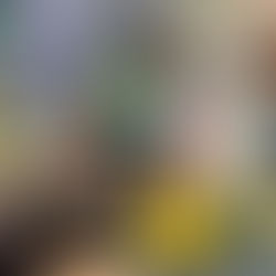 Sábado 30 y domingo 31:
Feria D-COPAS vuelve a Patio Bellavista con su séptima edición: vinos, música y buena onda