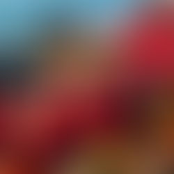 San Valentín: Celebración  romántica junto el mar