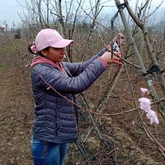 De la mano de Cemaipo el talento florece en el Maipo