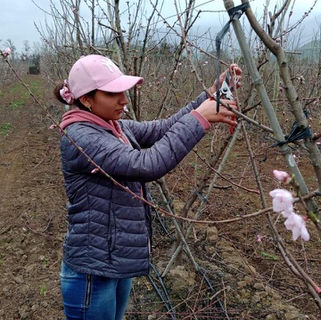 De la mano de Cemaipo el talento florece en el Maipo