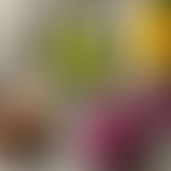 Conoce las diferencias entre un helado y un gelato