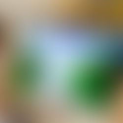 Nueva Galaxy Tab S10 con pantalla antirreflejo para usar en diversas condiciones de luz