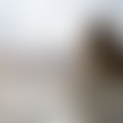 Qué es Sunflower, el programa para pasajeros con discapacidades no visibles que implementó Arajet