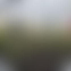 Epson y Reforestemos: Cinco años sembrando futuro en la Patagonia chilena