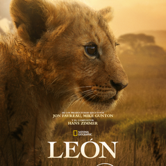 National Geographic presenta serie documental de que narra la evolución de un cachorro de león hasta que se convierte en rey