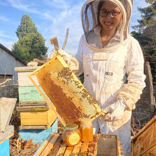 Día mundial de las abejas: Santa Bárbara, capital de la miel en Chile