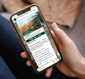 Brigada Digital: ¿Cómo los grupos de WhatsApp permiten organizarse en torno a la prevención de incendios forestales?