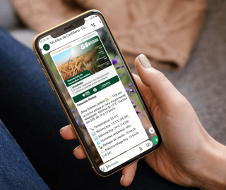 Brigada Digital: ¿Cómo los grupos de WhatsApp permiten organizarse en torno a la prevención de incendios forestales?
