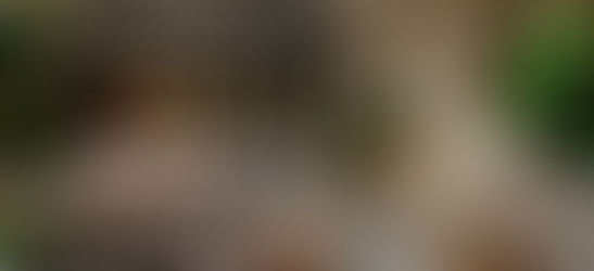 Hotel Recoleta Grand llega a Buenos Aires