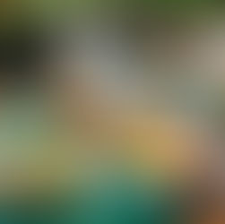 Esta es la carta de otoño de Favara Pizza Bar