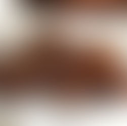 El Cacao: Conoce sus beneficios y prepara deliciosas recetas para los días fríos