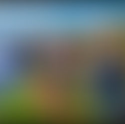 Floricultura regenerativa abre nueva oportunidad para mujeres rurales