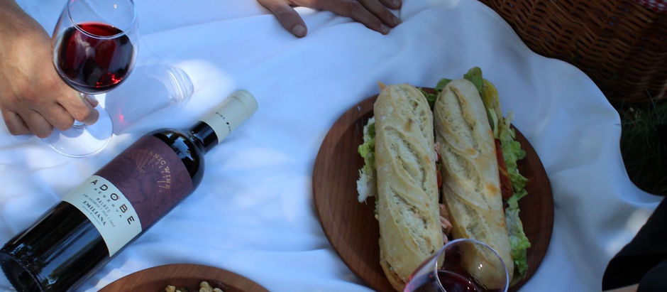 Emiliana: Otoño orgánico en Casablanca