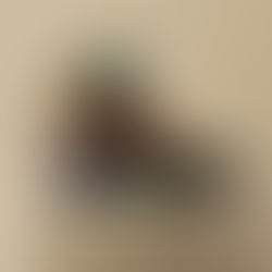 Bugaboot: El retorno de un clásico que representa historia, diseño y cultura outdoor