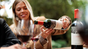 Vinos vinos orgánicos para darle la bienvenida al otoño 