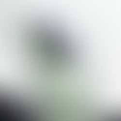 HONOR Magic8 Lite “rompe” un Récord Guiness por la caída más alta de un smartphone