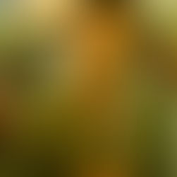 Nunca se supo: antología que reúne poemas inéditos de 56 músicos y músicas nacionales