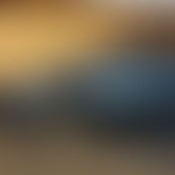 KIA Niro PHEV gana el premio Red Dot