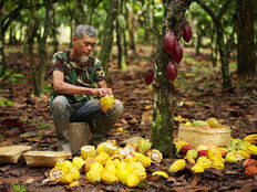 Comercio justo: Gana espacio en la industria alimentaria y el cacao emerge como caso emblemático