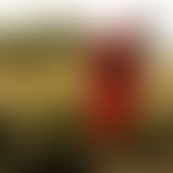 Cosmética vegana: Cuando el cuidado se transforma en ética, conciencia y sustentabilidad