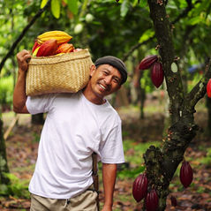 Consumo consciente y chocolate negro lideran el nuevo ciclo del negocio global