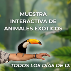 X-OTIA llega a Mall Sport con una propuesta educativa y familiar que invita a descubrir el mundo de los animales exóticos