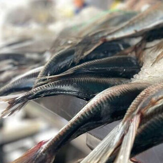 Moscas polinizadoras y harina de pescado: “Cero Residuos”, la apuesta del Terminal Pesquero