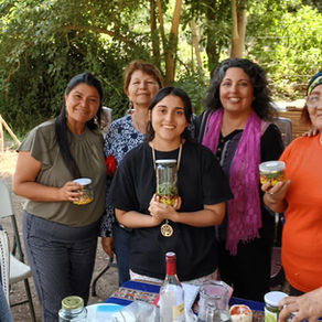 Huertos Comunitarios en Santiago ayudan a la salud mental de los vecinos