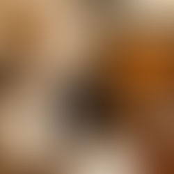 Vélez se expande en Chile y celebra su llegada a Parque Arauco con una experiencia memorable de marca