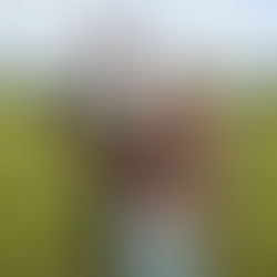 Almaluna: cuando el agua se transforma en historia, familia y tradición chilota