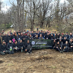 Fundación Reforestemos: Más de una década restaurando la Patagonia con su histórico voluntariado que une a todo Chile
