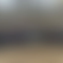 Fundación Reforestemos: Más de una década restaurando la Patagonia con su histórico voluntariado que une a todo Chile