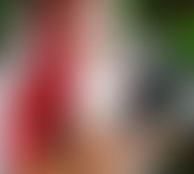 Esta Navidad regala tecnología que conecta y perdura con HONOR