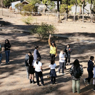 Aprender en la naturaleza: Cómo las salidas al aire libre fortalecen habilidades socioemocionales