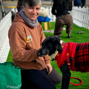 MoviPet 2026: Movicenter invita a encontrar a tu nuevo copiloto en una nueva jornada de adopción responsable