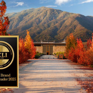 Viña Montes: Marca #1 en fidelidad en los Brand Costumer Loyalty Awards 2025 en Corea del Sur