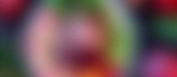 BordeRío: Explora el placer de la cocina sin carne