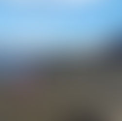 Limpieza de Playas concluye con la recuperación de media tonelada de basura en sector Lillo