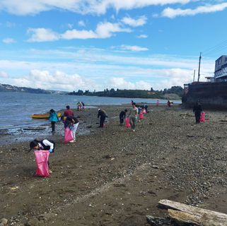 Limpieza de Playas concluye con la recuperación de media tonelada de basura en sector Lillo