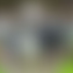 Typack-Recipet exhibe su premiada tecnología en Circle Park 2026