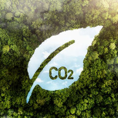 Construcción carbono neutral: una tendencia necesaria para el futuro