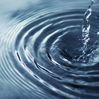 Reduce, ahorra y descubre nuevas formas de ayudar al medioambiente