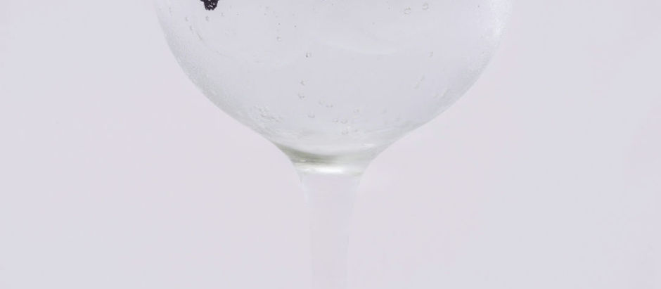 Verano con sabor a Gin & Tonic