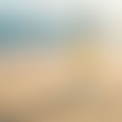 Viña MontGras te invita a descubrir sus increíbles experiencias enoturísticas