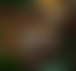 Ticul: Un viaje al origen del chocolate