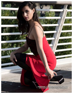 3 ponte della musica