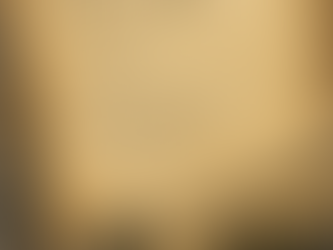 vacant: /VAY-kuhnt/ unfilled; uninhabited; the state of no longer being chosen.