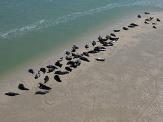 Berck-sur-Mer